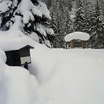 Haus Alpenheim 3*