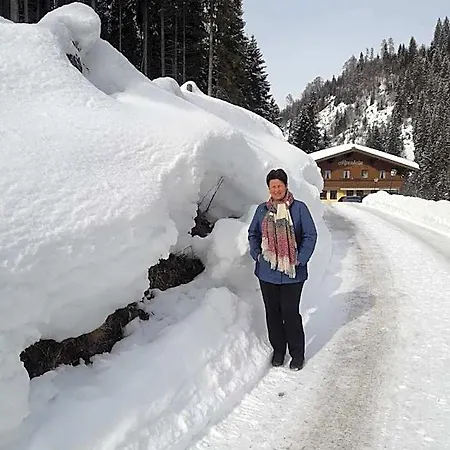 Haus Alpenheim Flachau