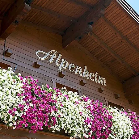 Haus Alpenheim 3* Flachau