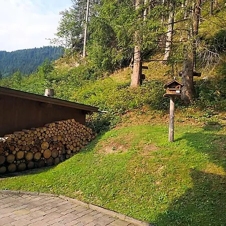 Guest house Haus Alpenheim 3*