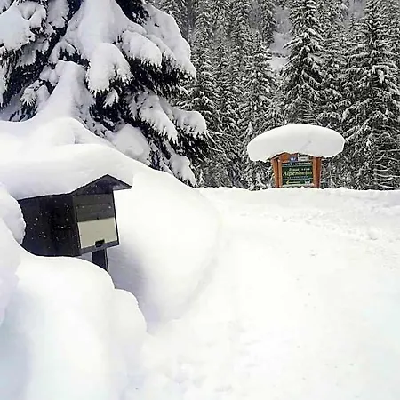 Haus Alpenheim