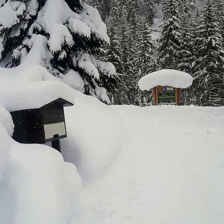 Haus Alpenheim 3*